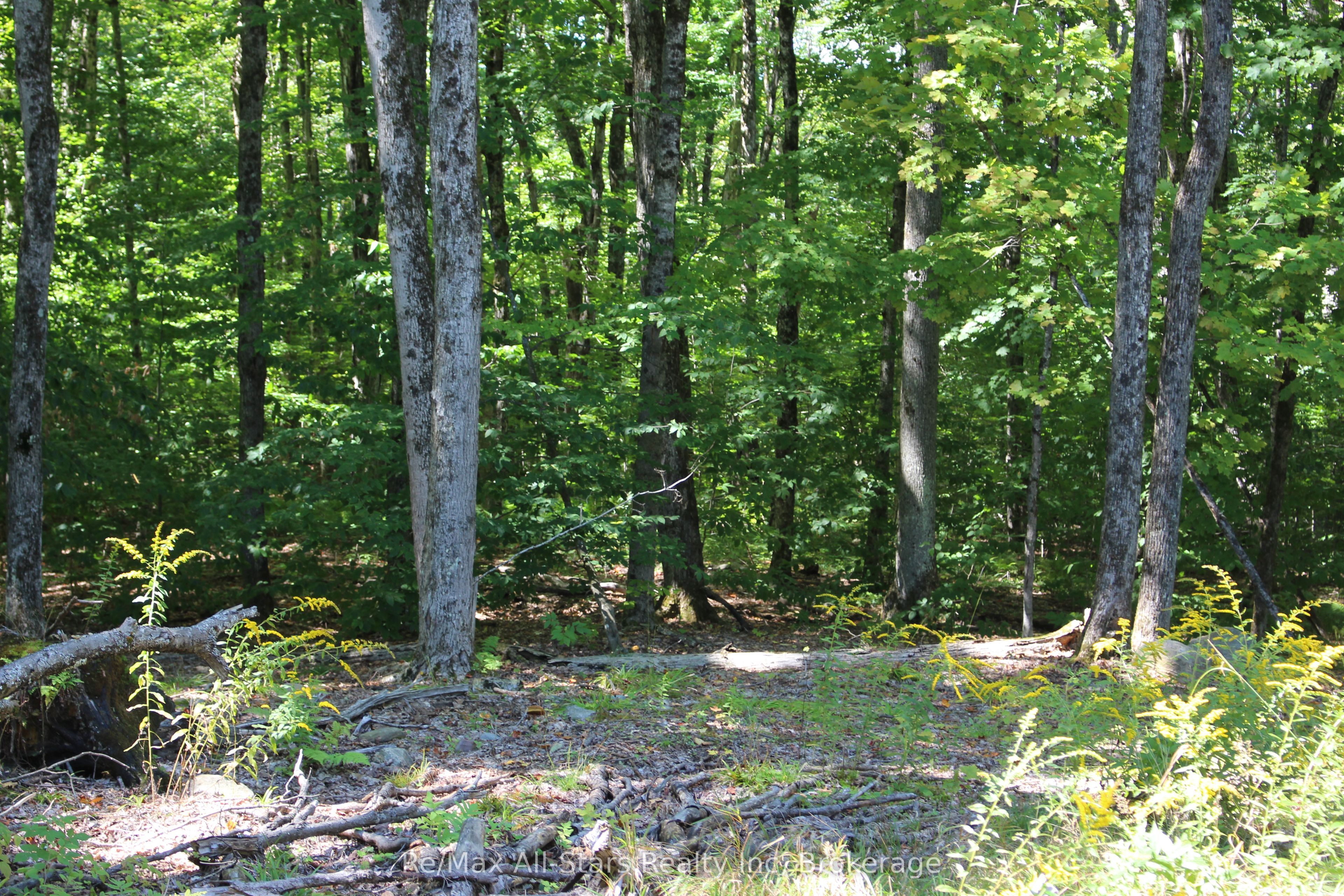 3480 Brunel Road Property Photo 5