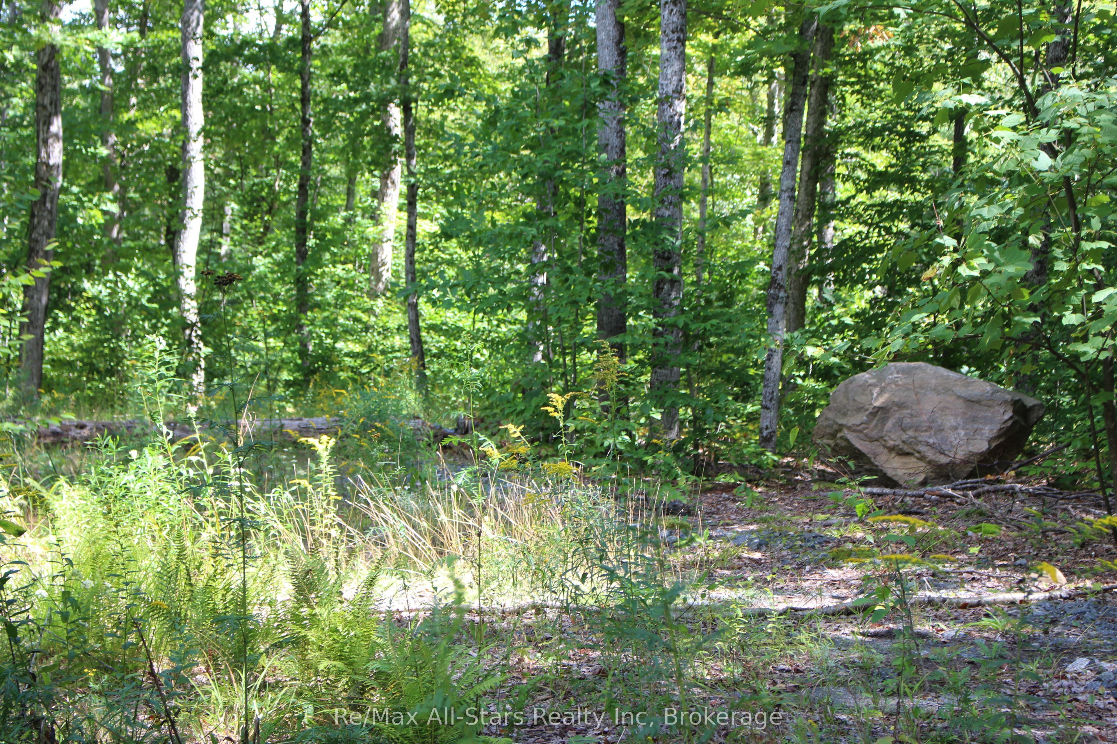3480 Brunel Road Property Photo 6