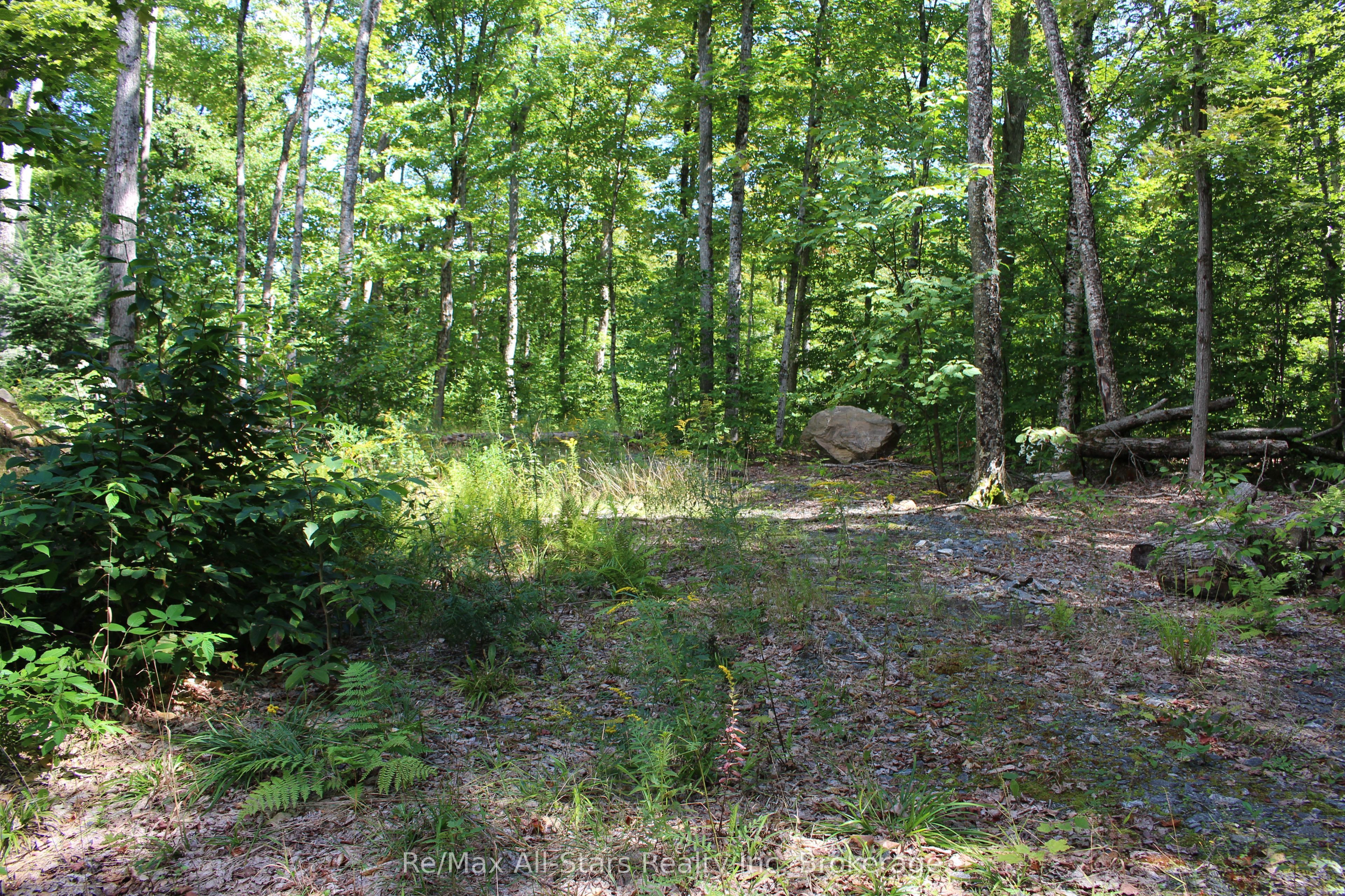 3480 Brunel Road Property Photo 7