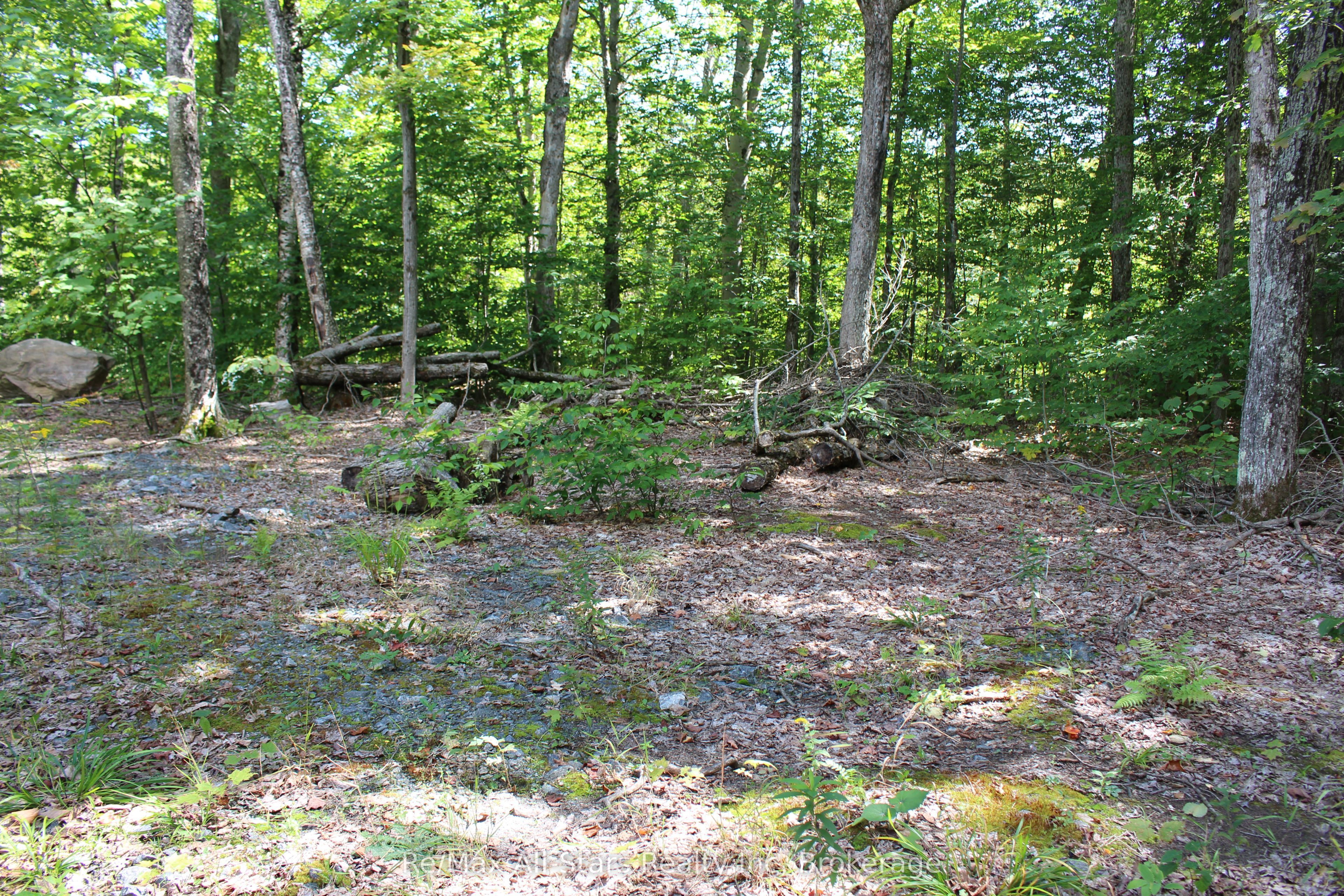 3480 Brunel Road Property Photo 8