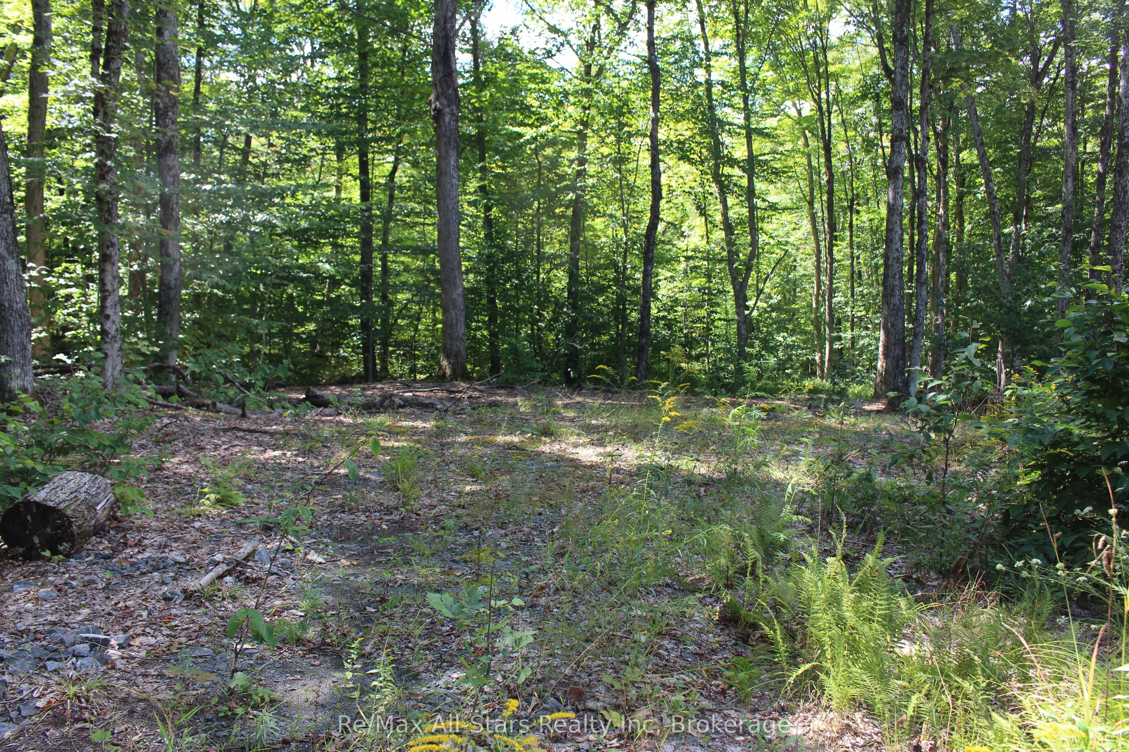 3480 Brunel Road Property Photo 9