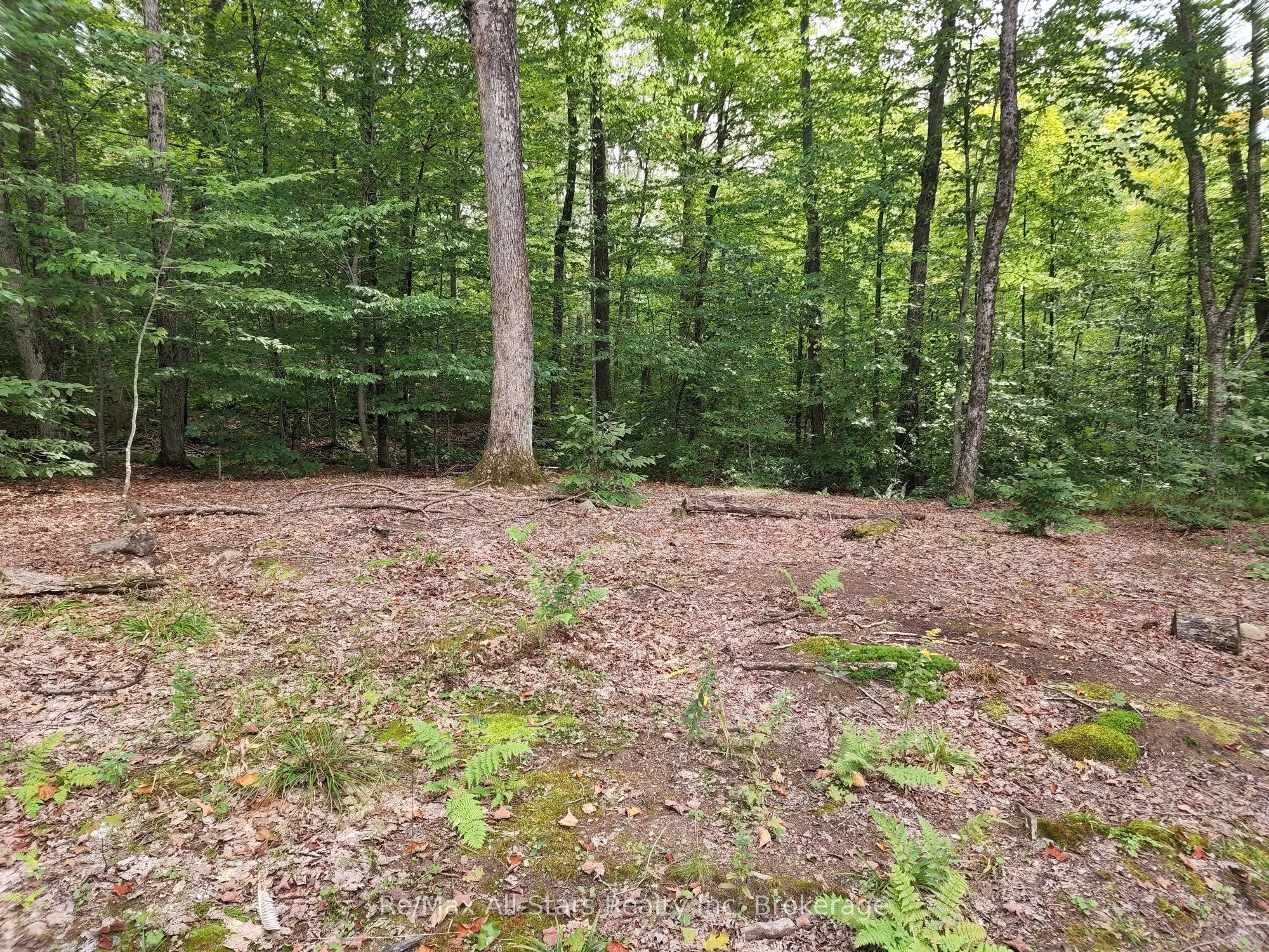 3480 Brunel Road Property Photo 10