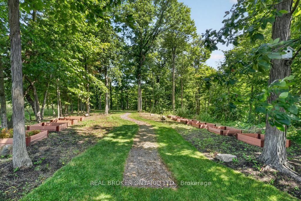 3169 King Street Property Photo 10