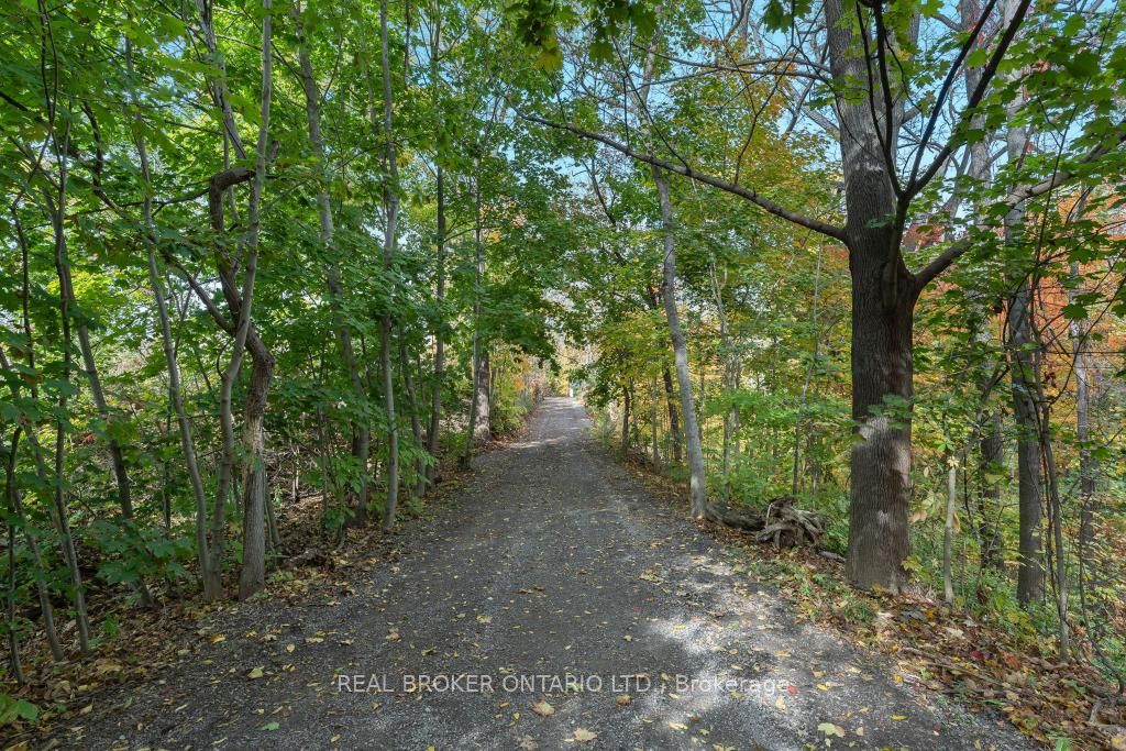 3169 King Street Property Photo 11