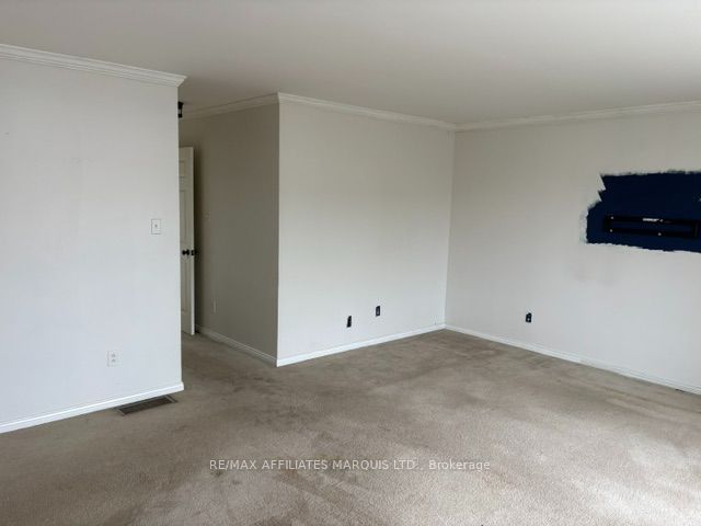 116 Pitt Street Property Photo 37