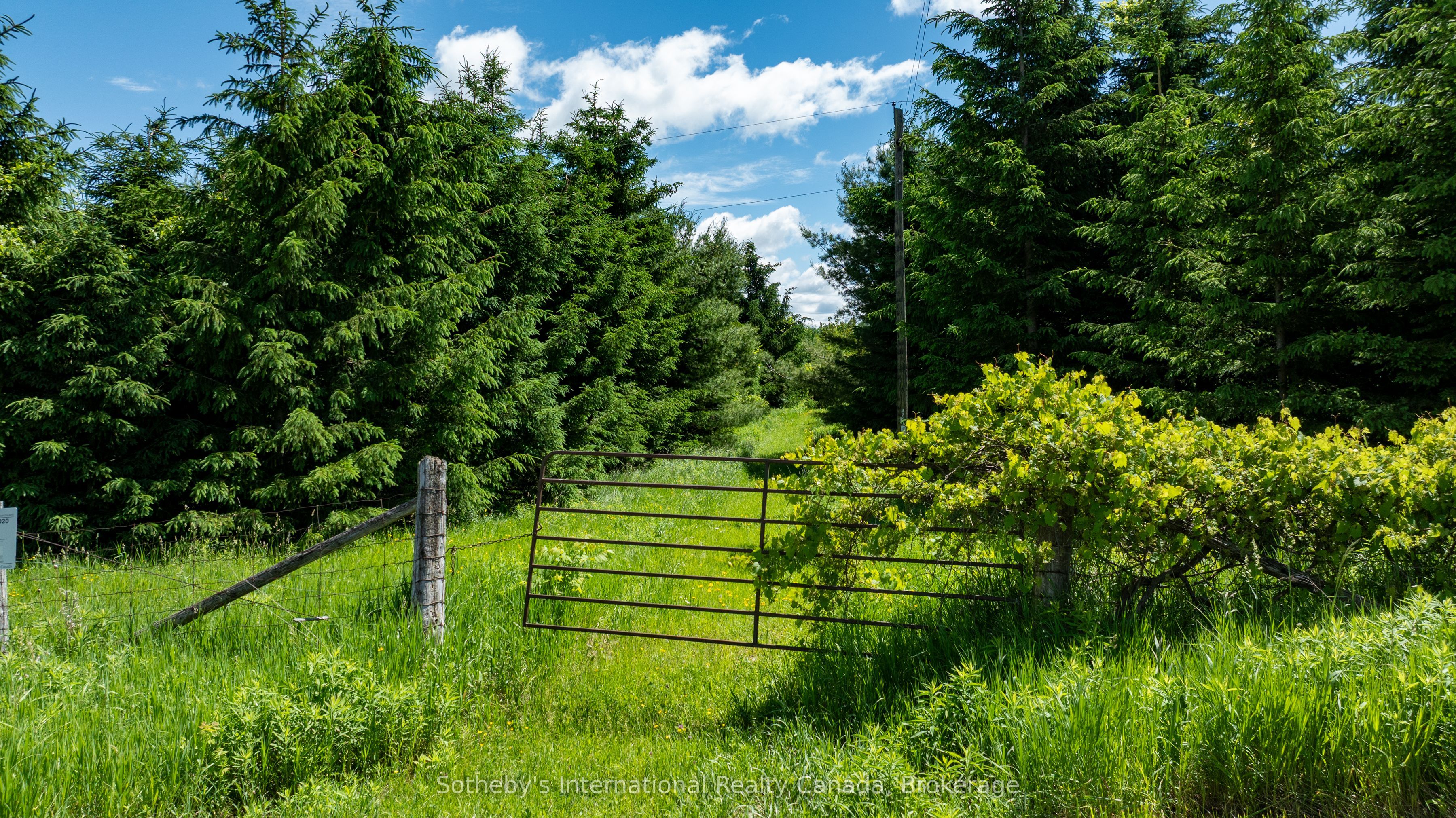 Lot 14 Con 2 1st Line E Ehs Property Photo 2