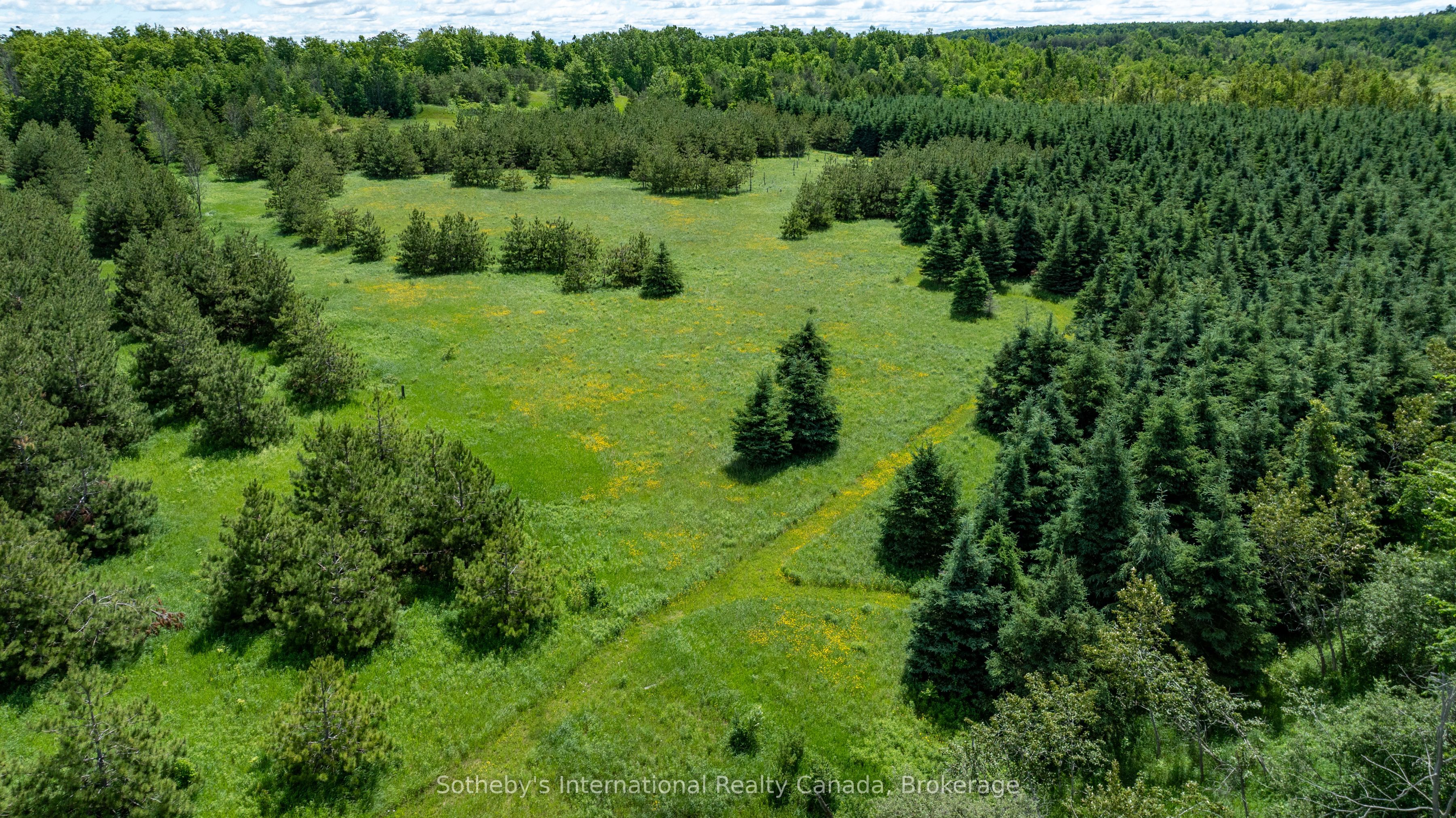 Lot 14 Con 2 1st Line E Ehs Property Photo 10