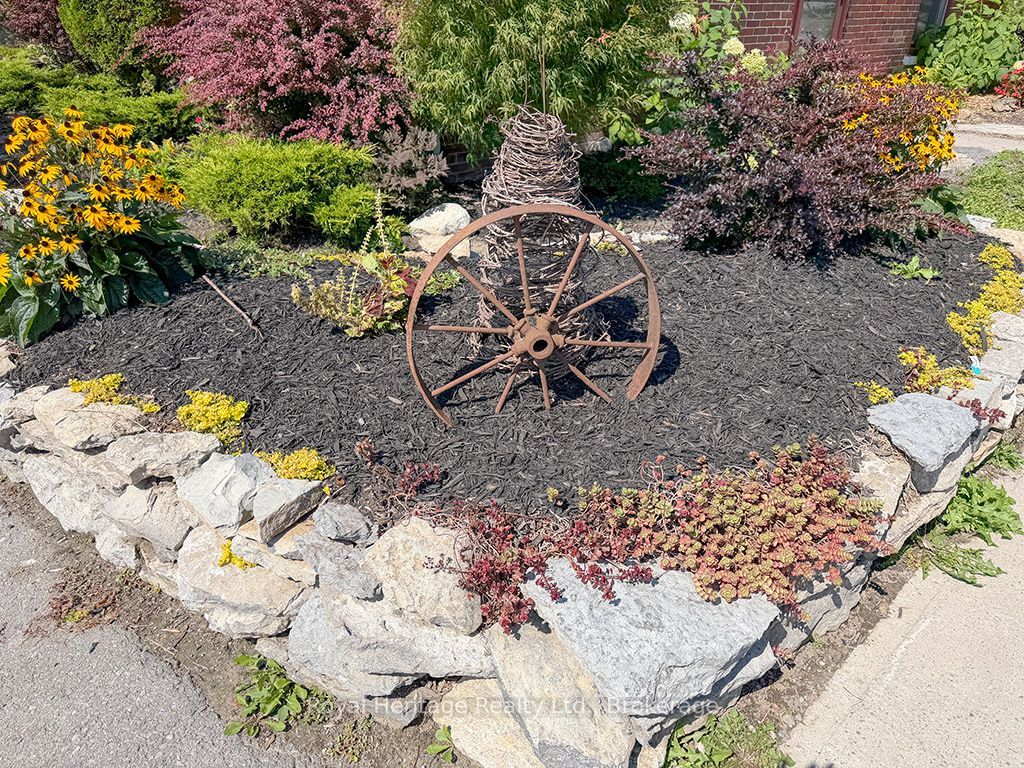 6 Willard Street Property Photo 29