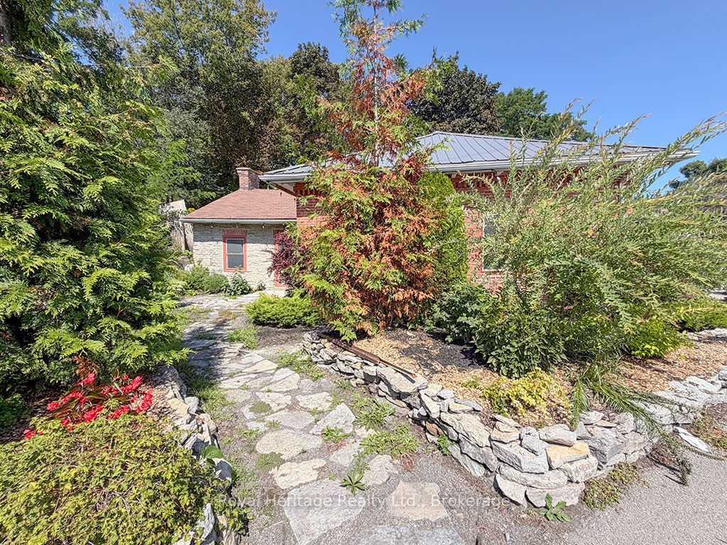 6 Willard Street Property Photo 31