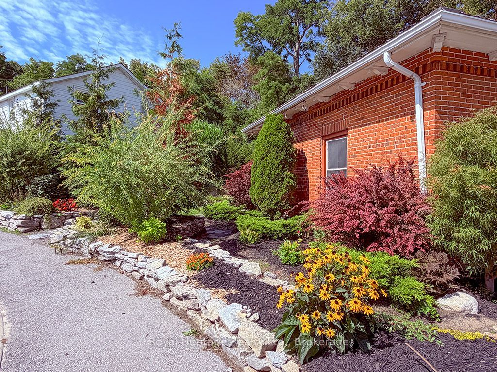 6 Willard Street Property Photo 33