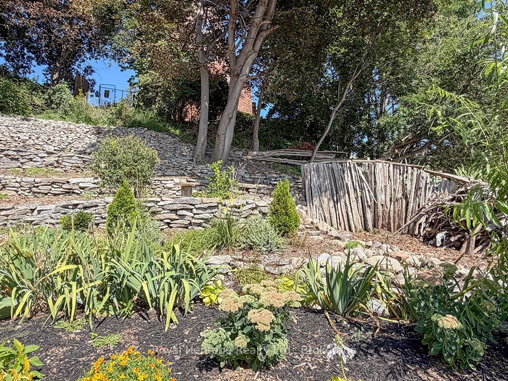 6 Willard Street Property Photo 36