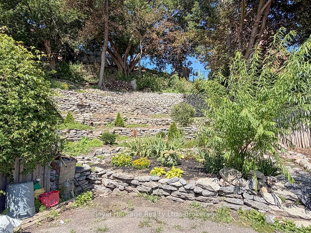 6 Willard Street Property Photo 37