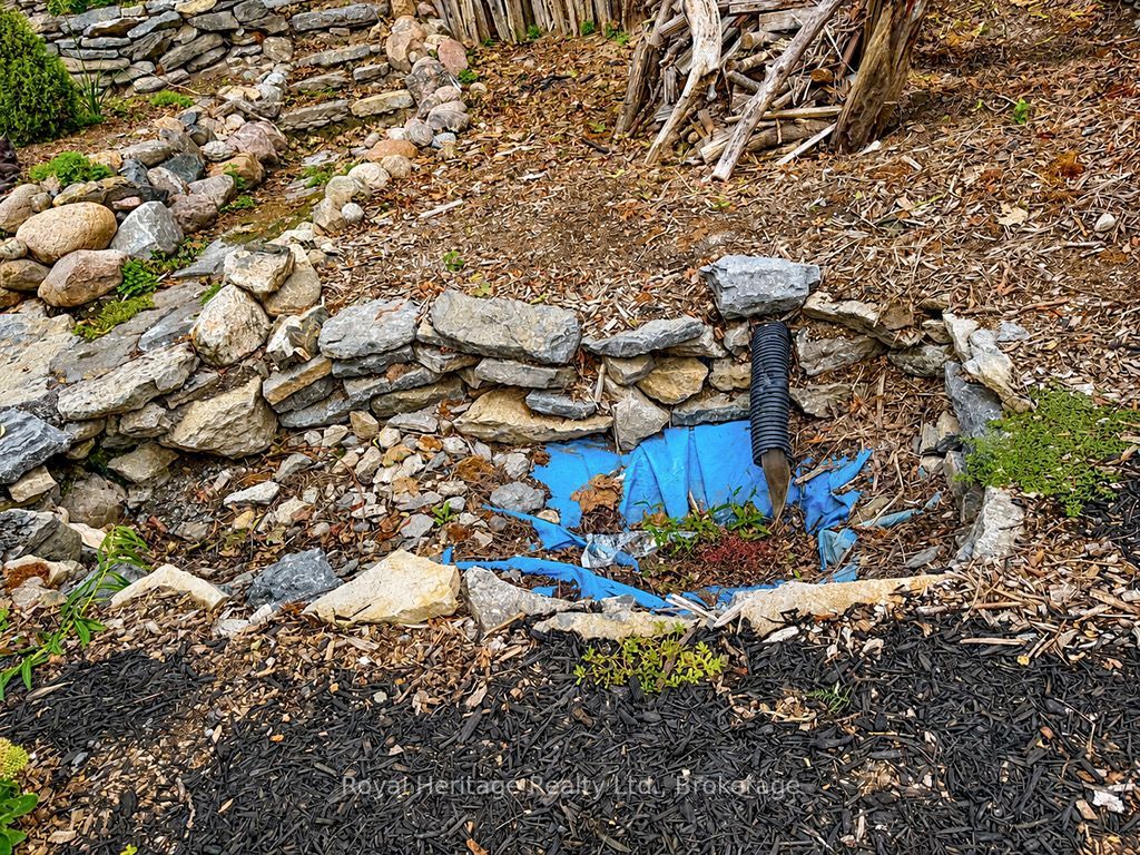 6 Willard Street Property Photo 38