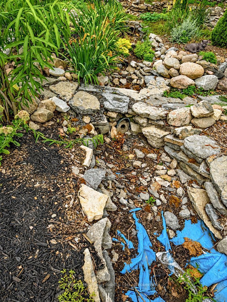 6 Willard Street Property Photo 39