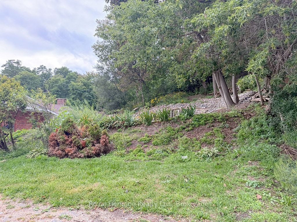 6 Willard Street Property Photo 40