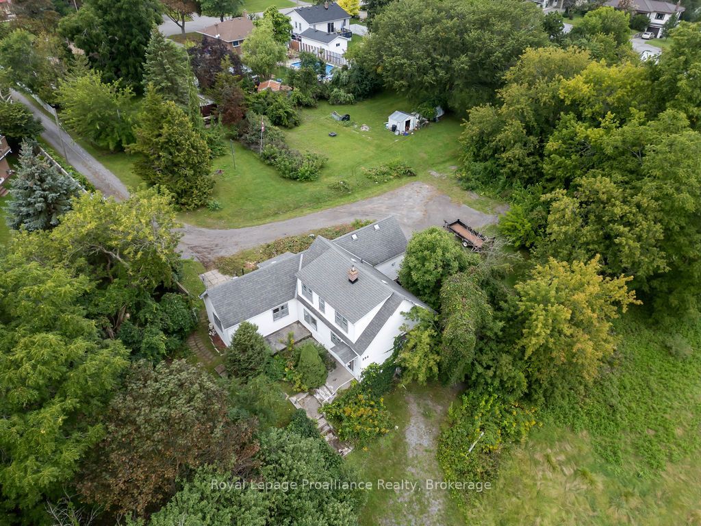 294 Moira Street E Property Photo 2