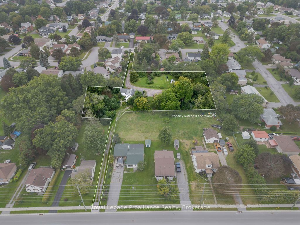 294 Moira Street E Property Photo 4