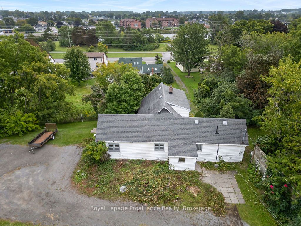 294 Moira Street E Property Photo 6