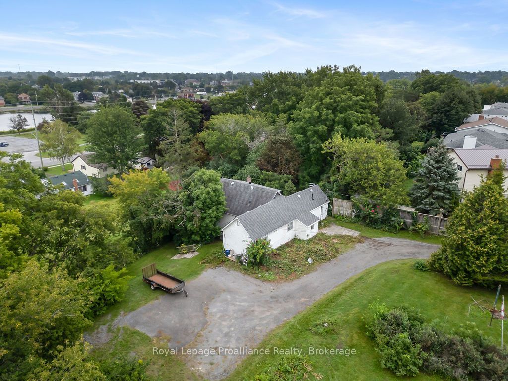 294 Moira Street E Property Photo 7