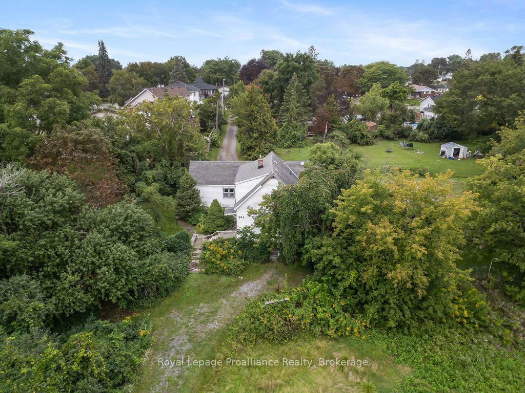 294 Moira Street E Property Photo 32