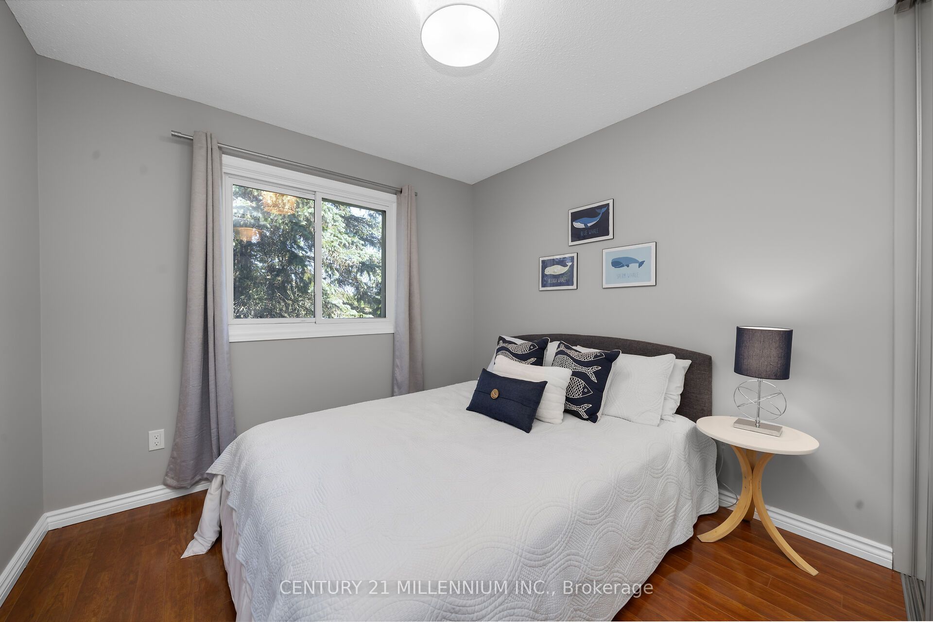 41 Douglas Crescent Property Photo 21