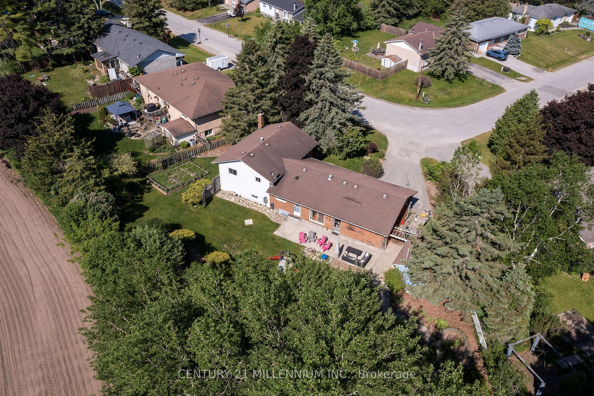 41 Douglas Crescent Property Photo 45