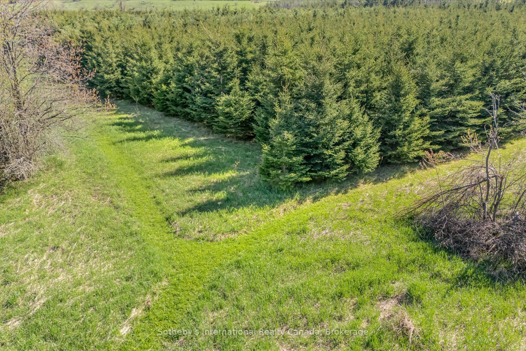 717218 1st Line E Ehs Property Photo 36