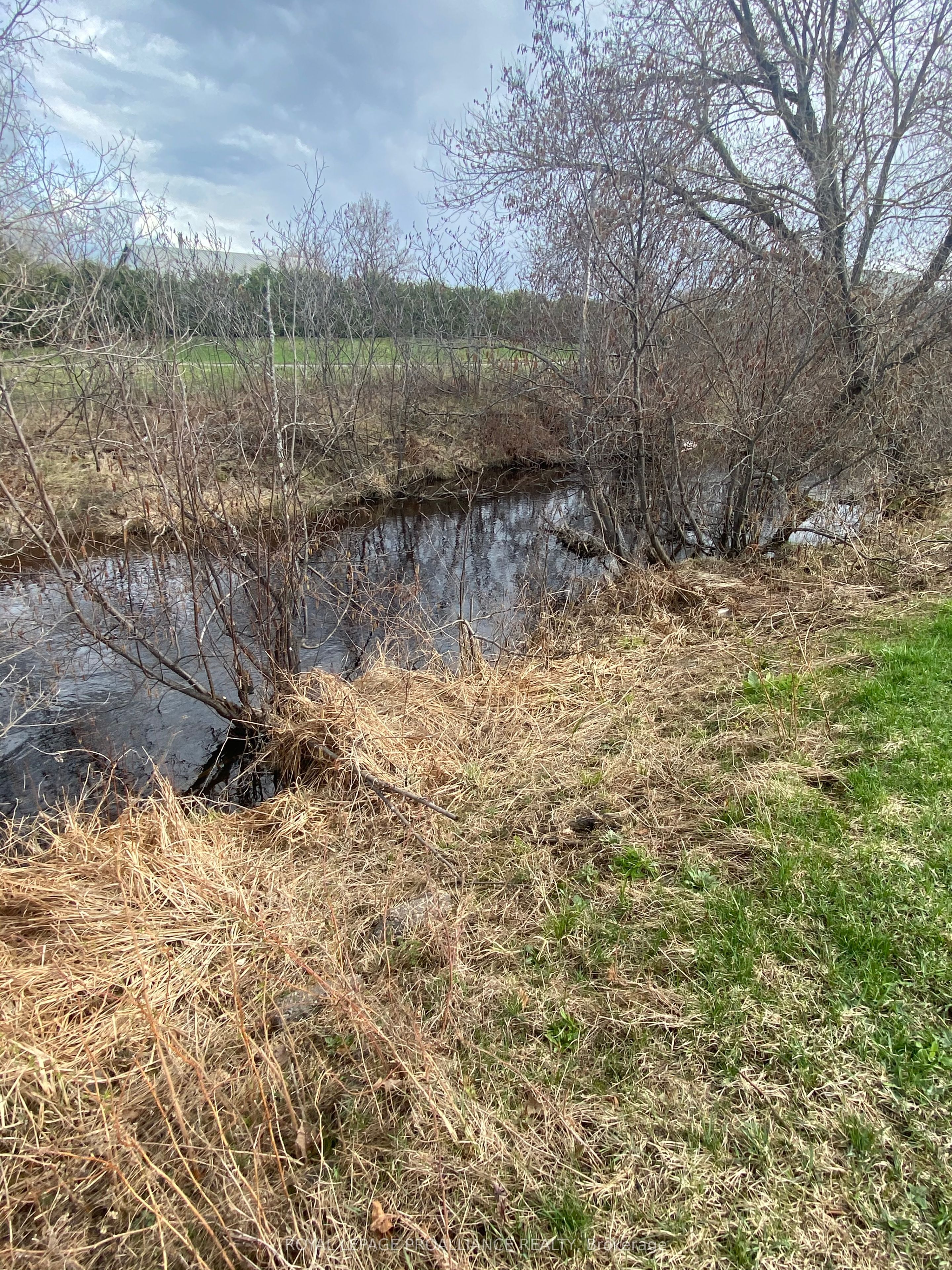 107a Lakeshore Drive Property Photo 7