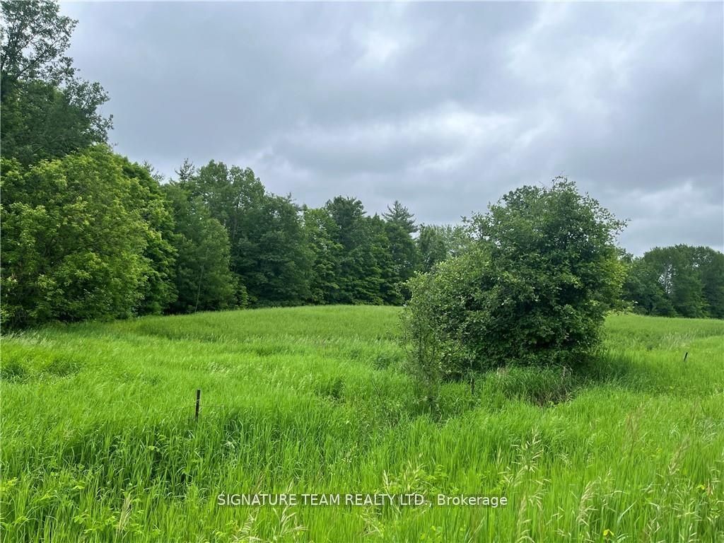 0 Grant Settlement Road Property Photo 3