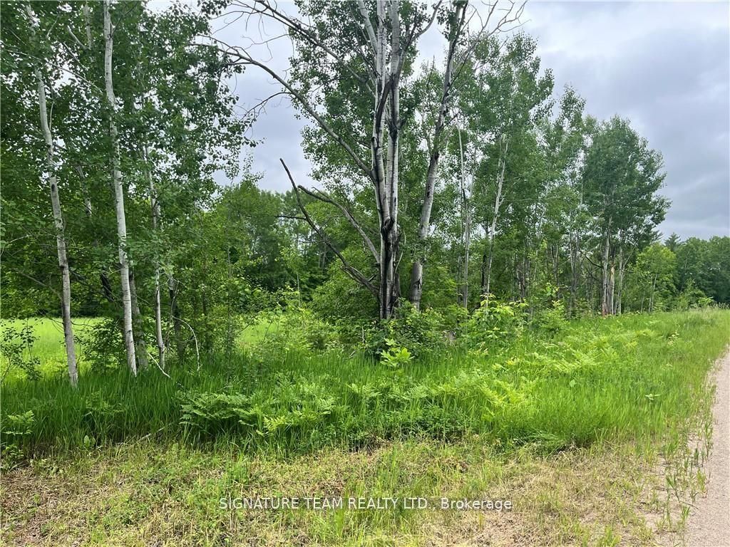 0 Grant Settlement Road Property Photo 5