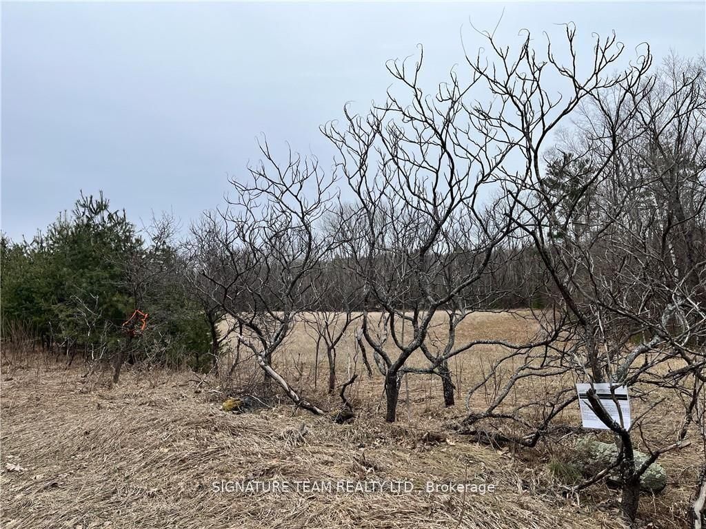 0 Grant Settlement Road Property Photo 7