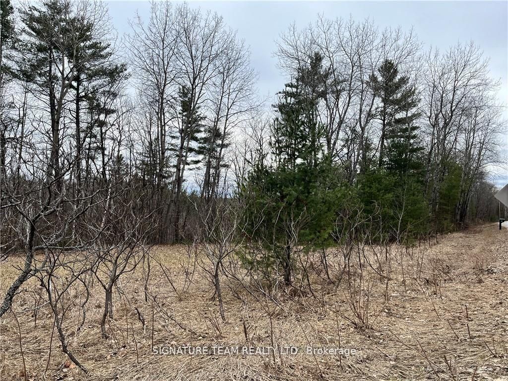 0 Grant Settlement Road Property Photo 8