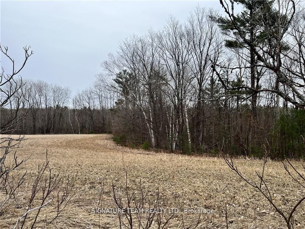 0 Grant Settlement Road Property Photo 9