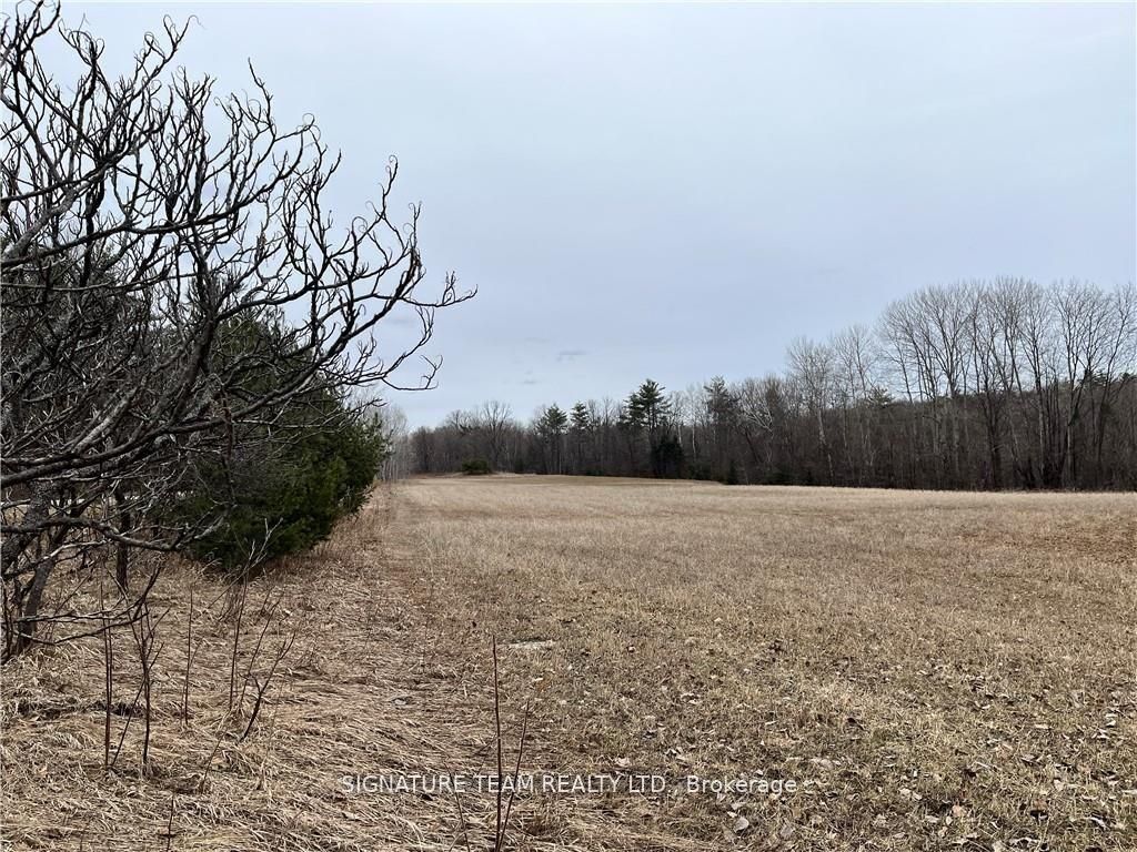 0 Grant Settlement Road Property Photo 10