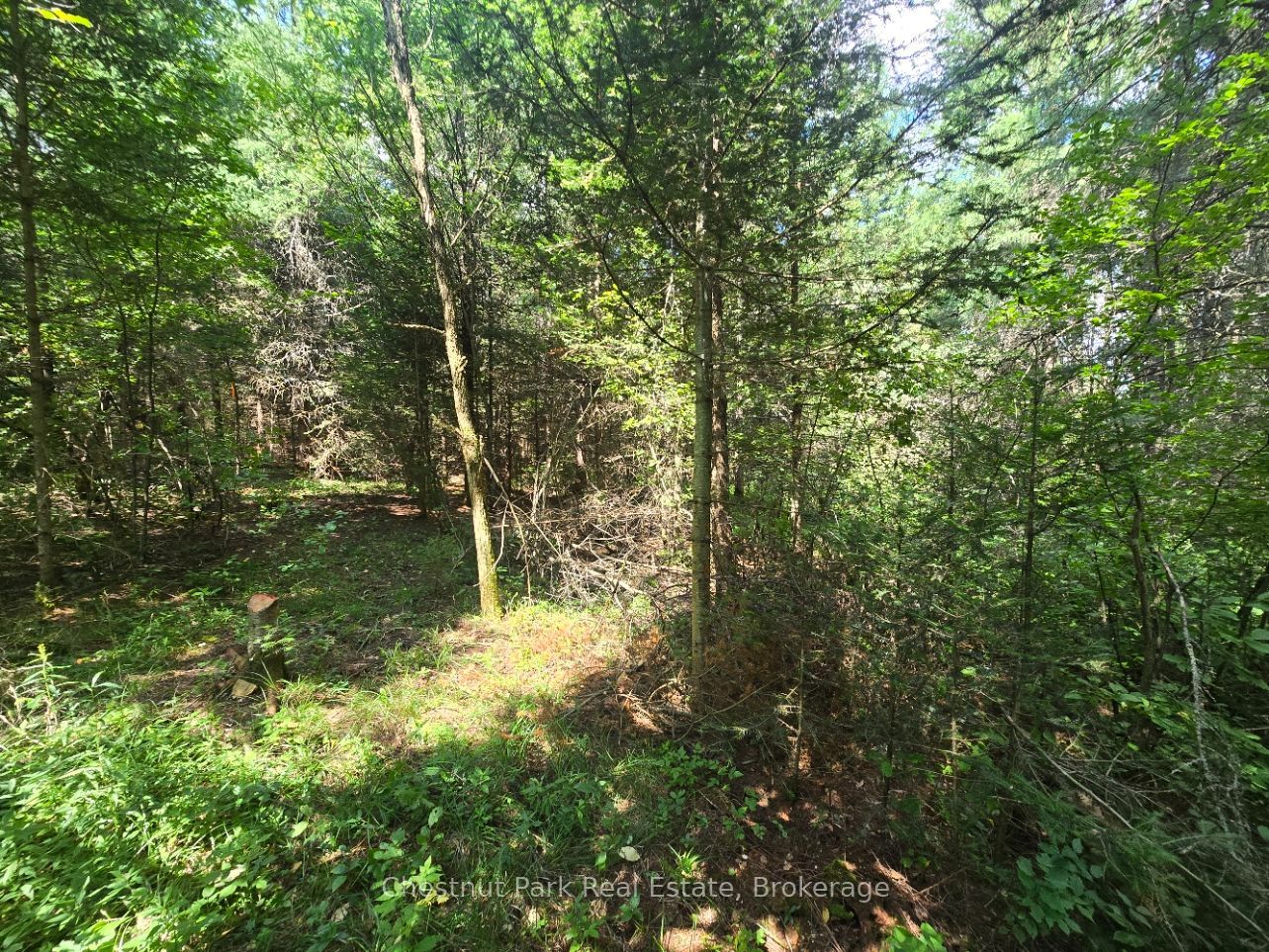 00 Gibbons Road Property Photo 16