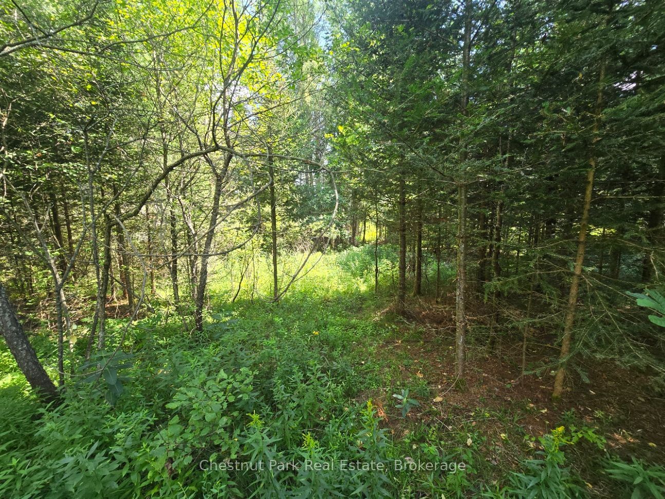 00 Gibbons Road Property Photo 17