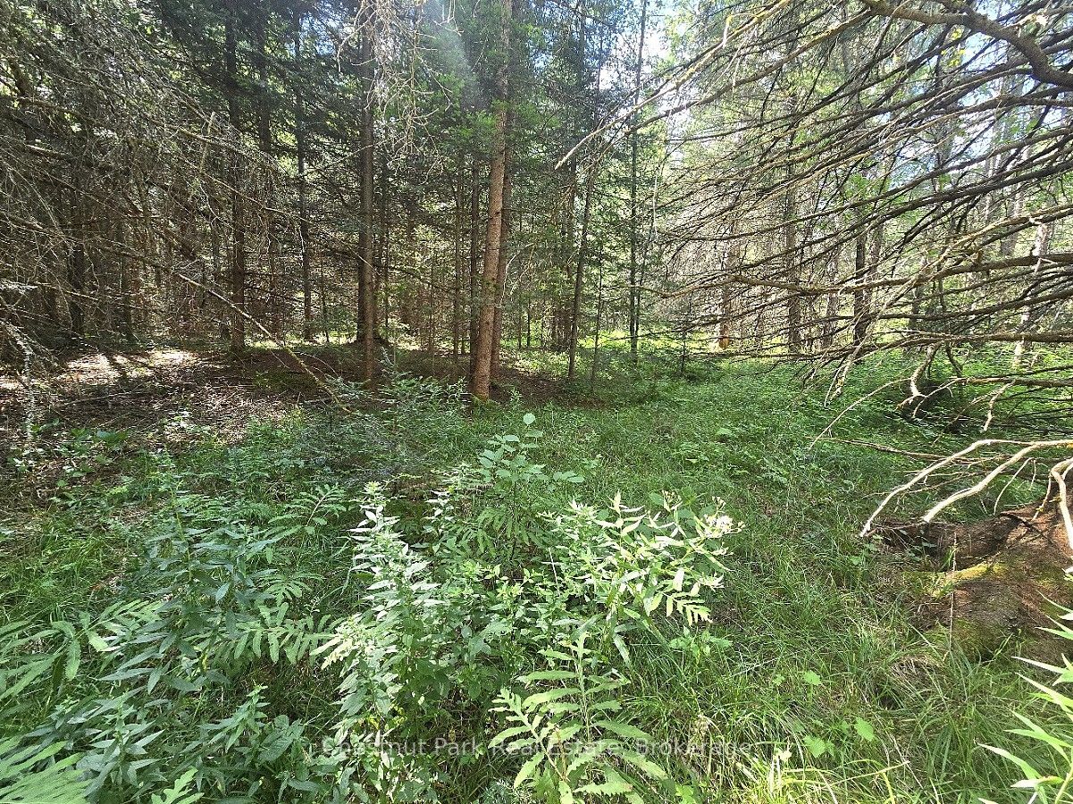 00 Gibbons Road Property Photo 18