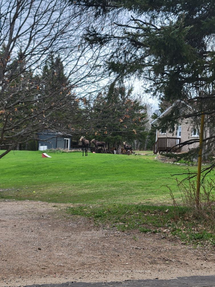 341 Woods Road Property Photo 49