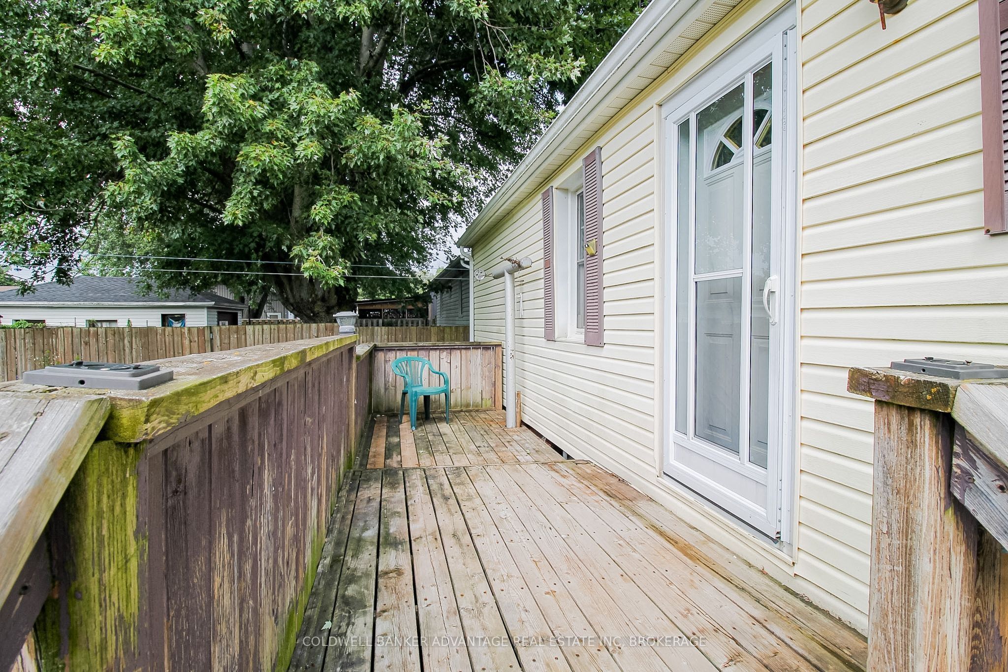 28 Marshall Avenue Property Photo 30