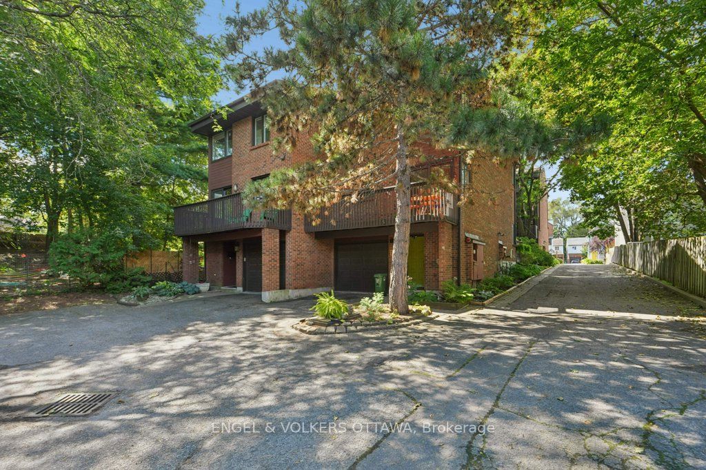 535 Hilson Avenue 4 Property Photo 4
