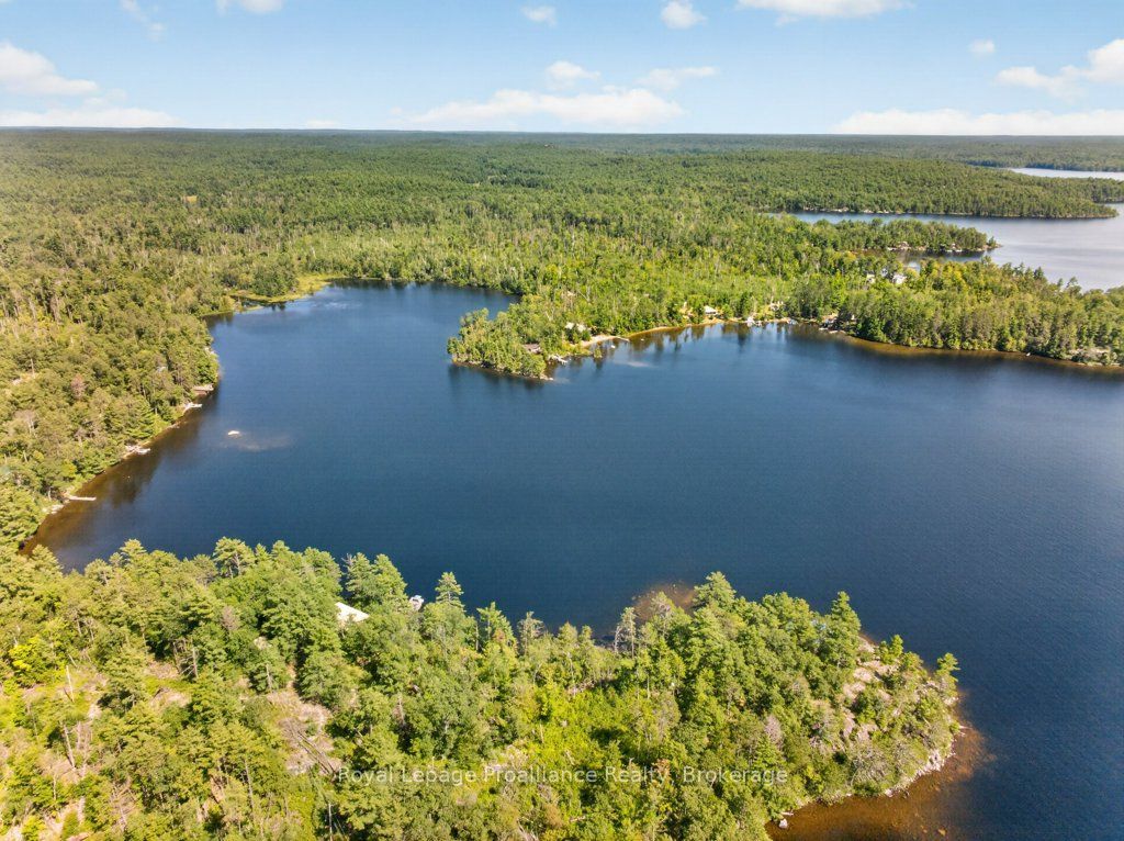 125 Mazinaw Lake Boat Access Property Photo 45