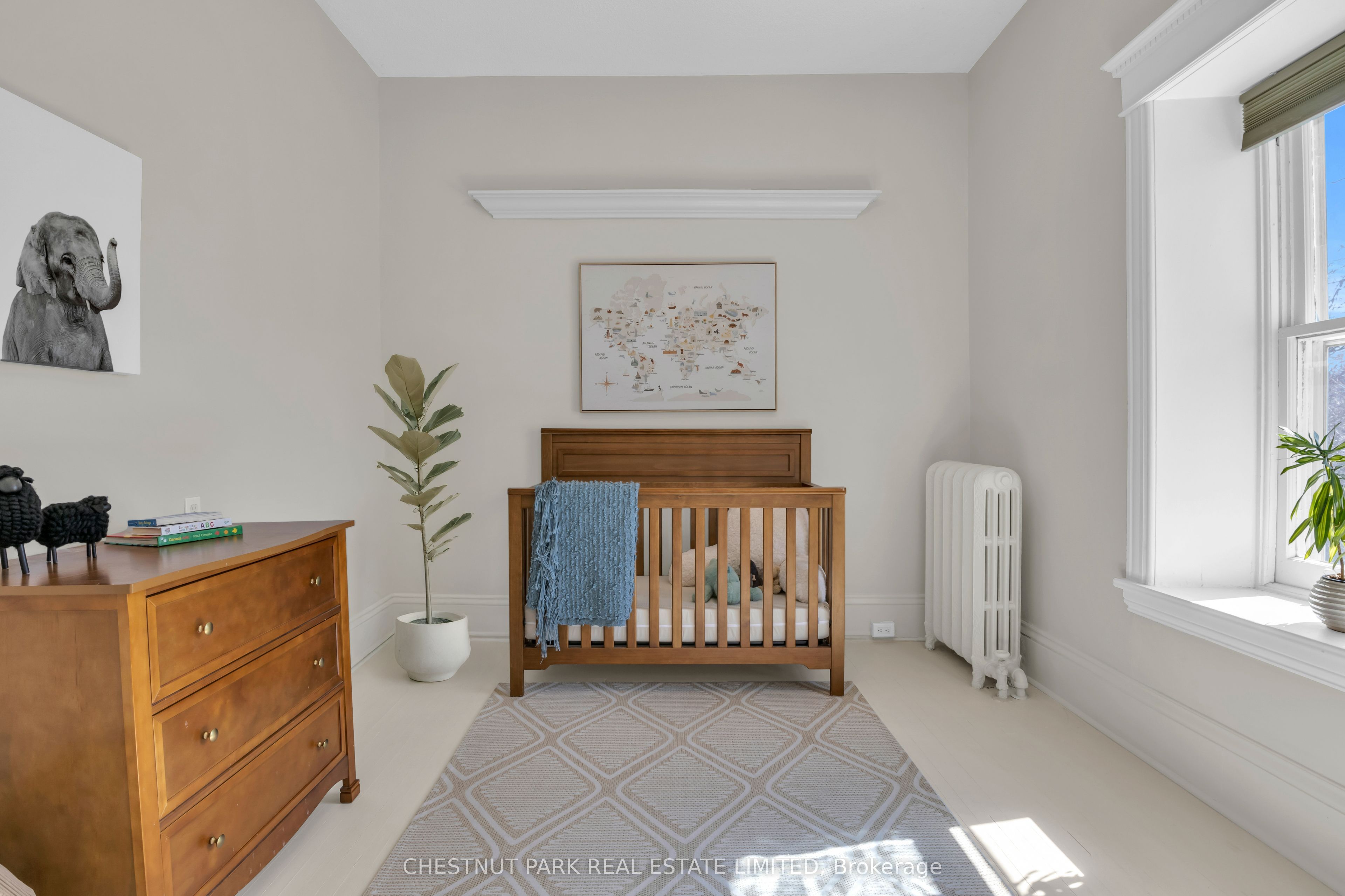 54 Bruce Street Property Photo 21