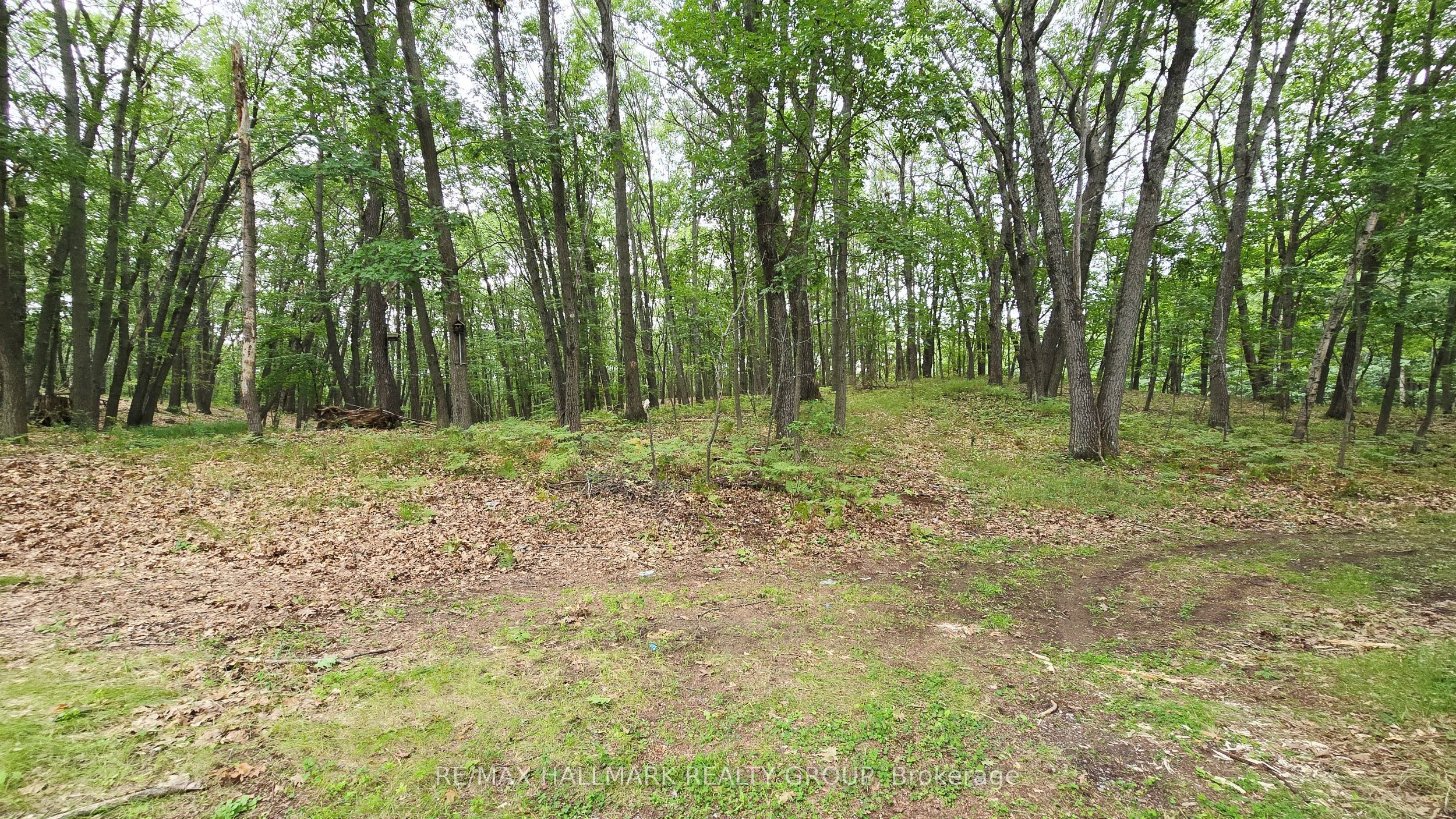 1153 Bayview Drive Property Photo 6