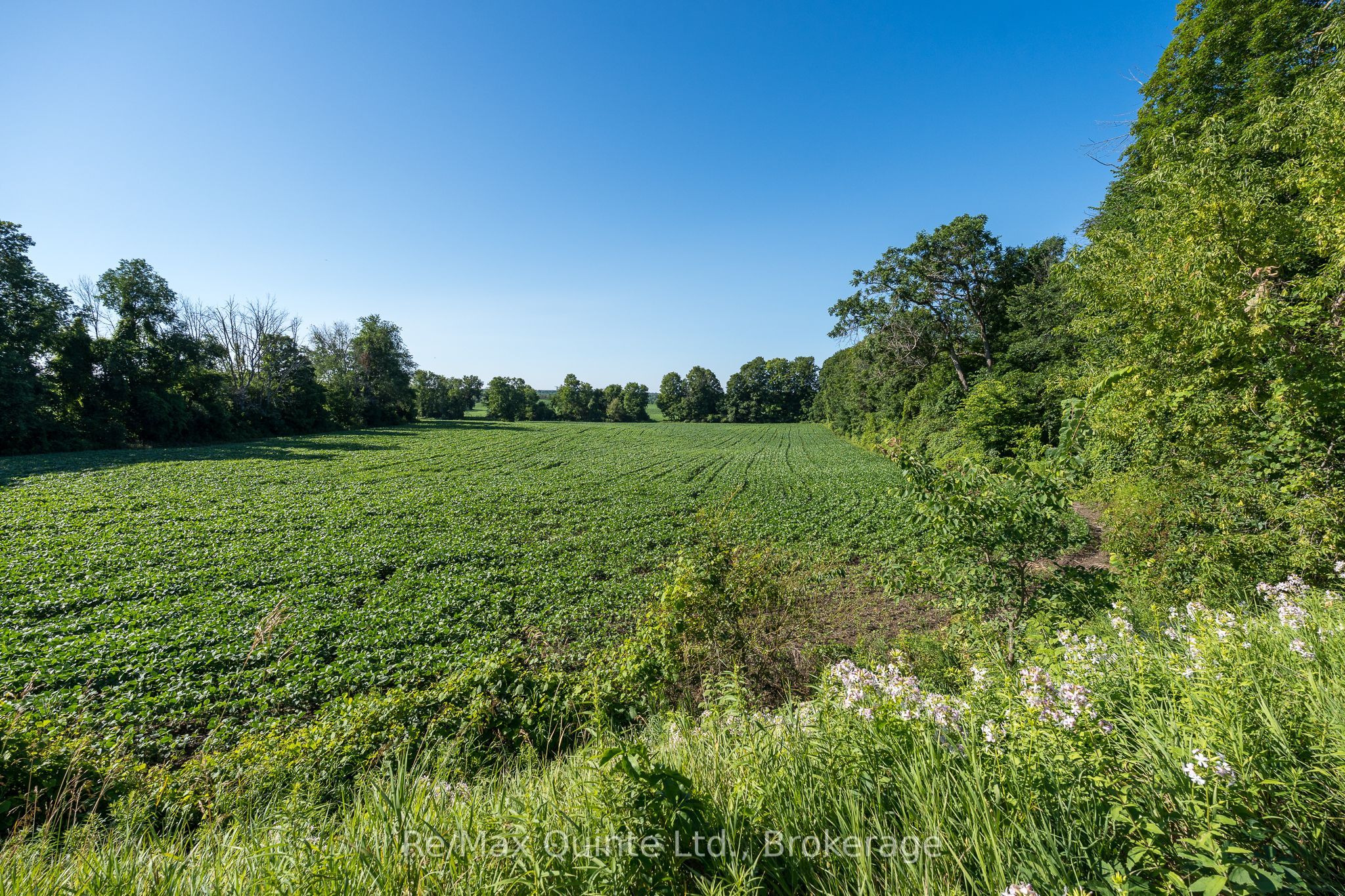 0 Marrisett Road Property Photo 6