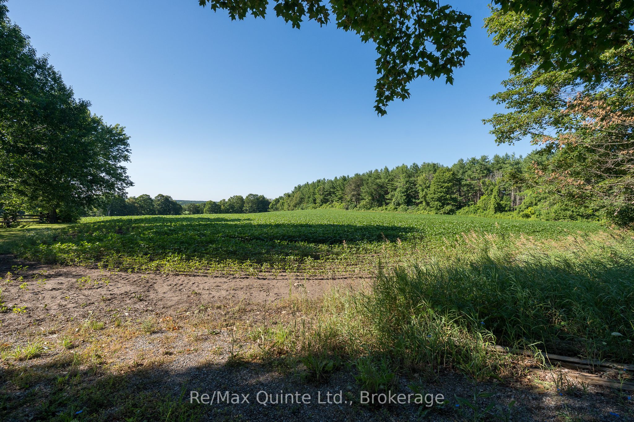 0 Marrisett Road Property Photo 6