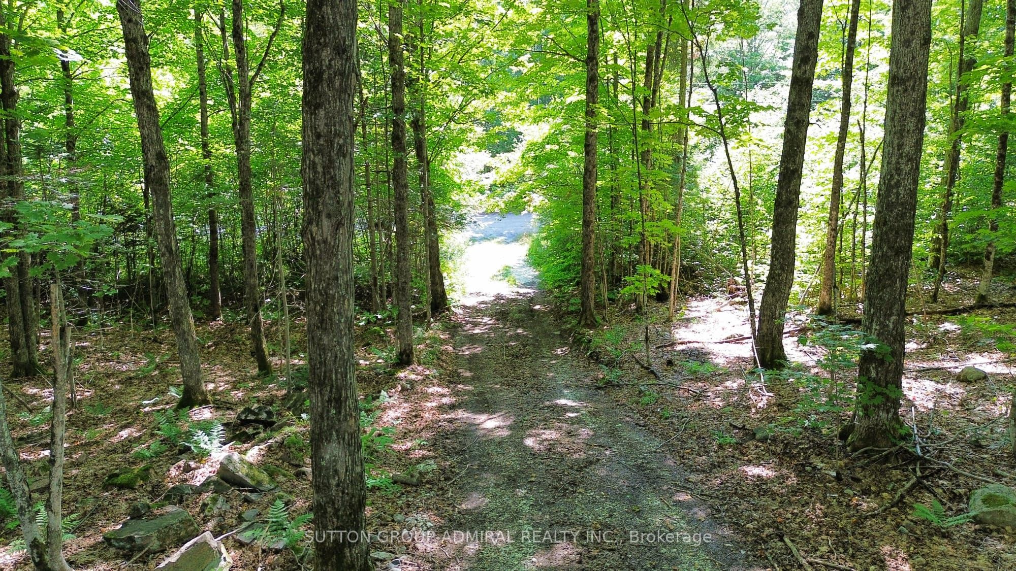 1135 Ross Lake Road Property Photo 20