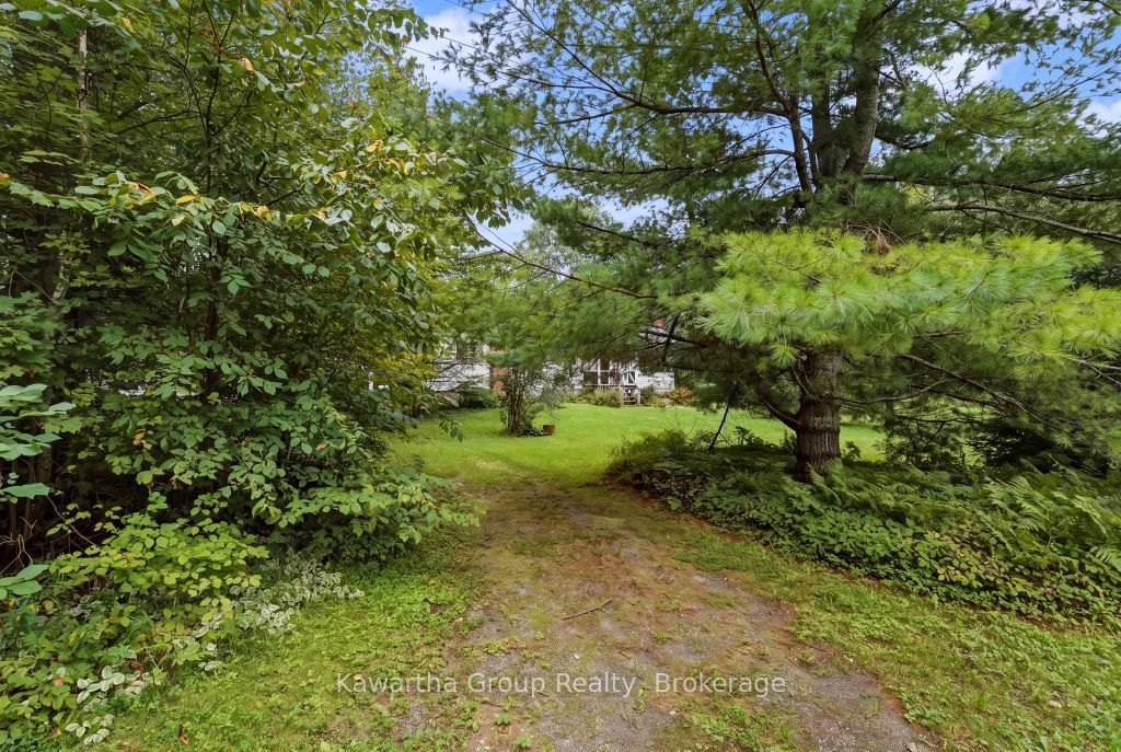 15 Cameron Road Property Photo 11