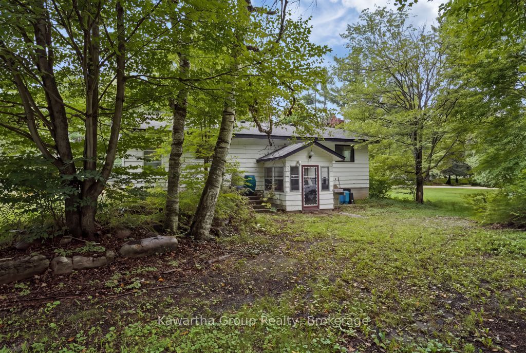 15 Cameron Road Property Photo 16