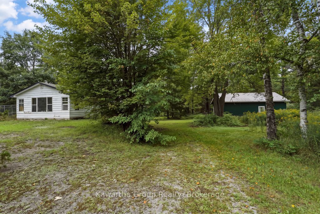 15 Cameron Road Property Photo 42
