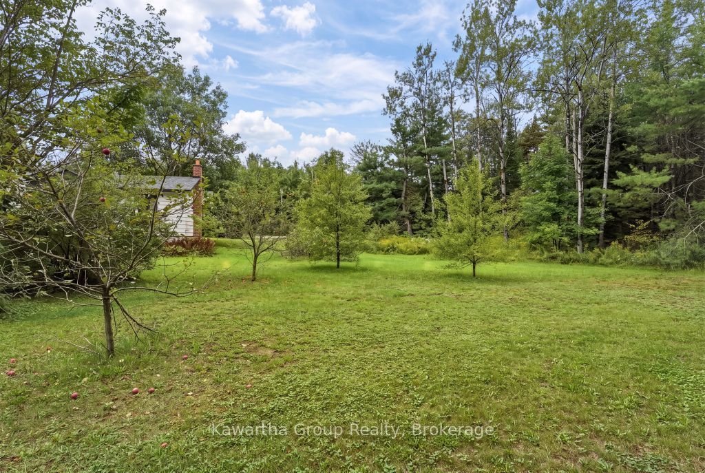 15 Cameron Road Property Photo 45